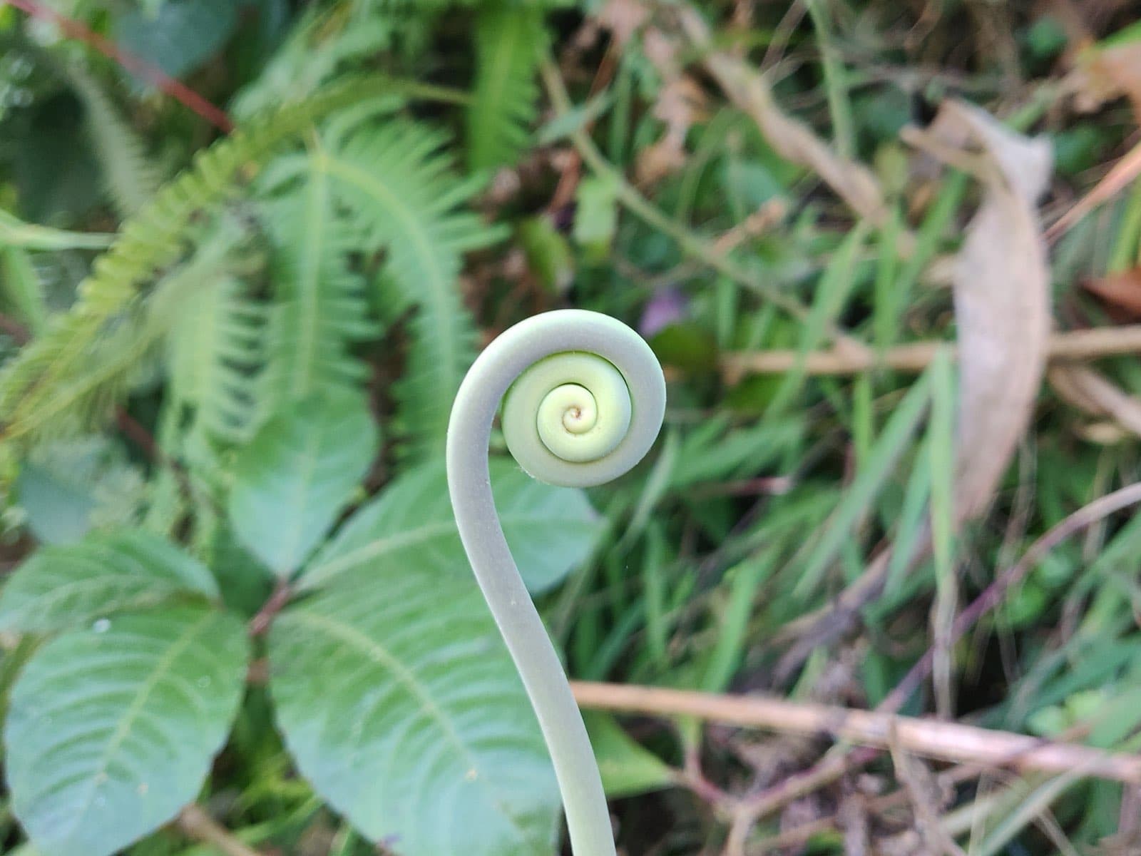 A designed landscape thriving with life