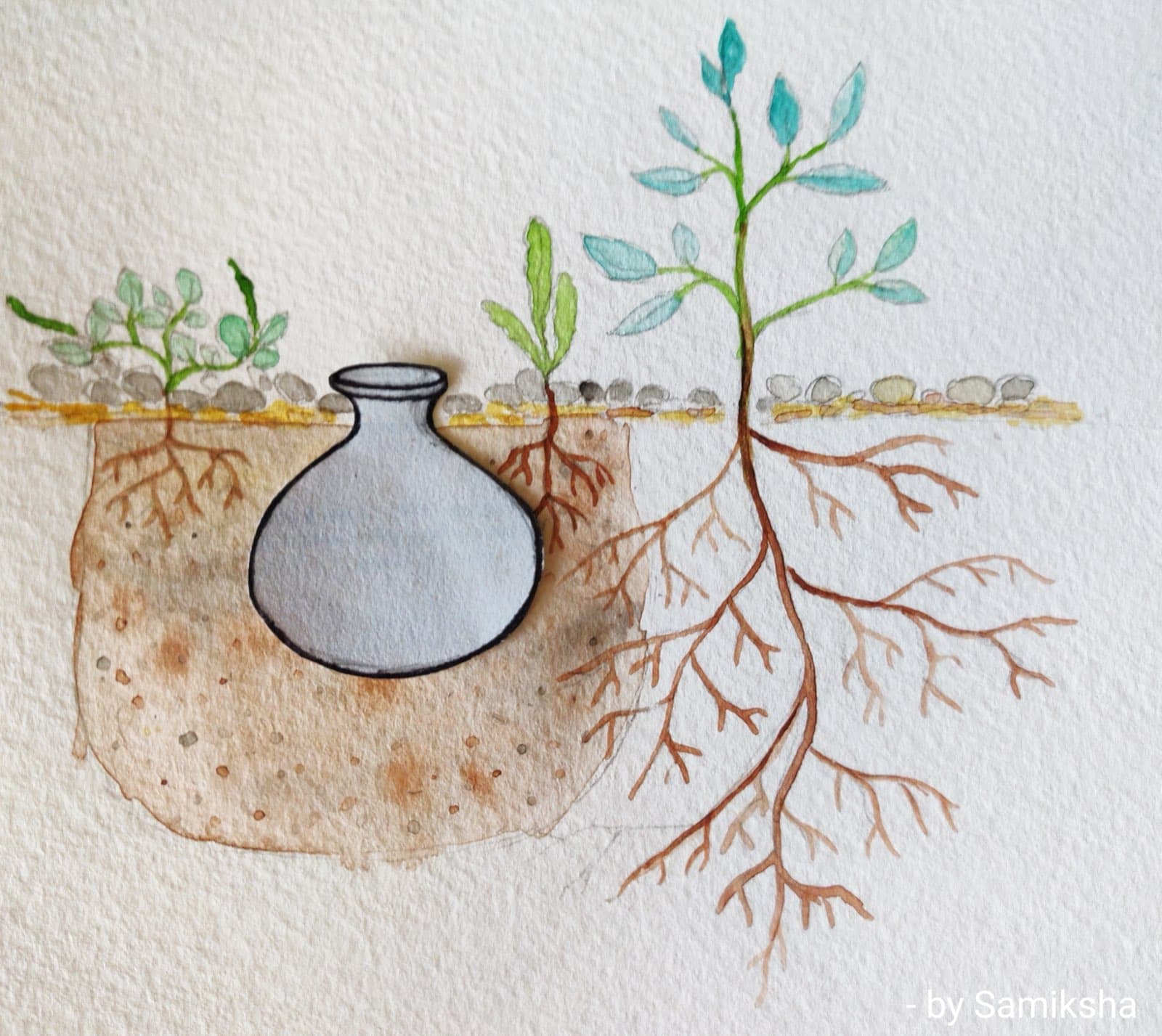 Pitcher irrigation for young trees